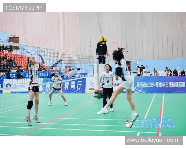 西安排球队的拼搏历程与荣耀瞬间全景纪实