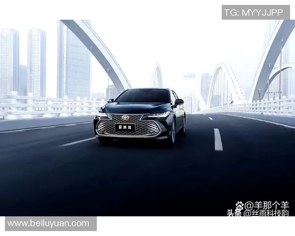 重庆篮球队在洲际杯积分榜上以62分稳居第一名展现强劲实力