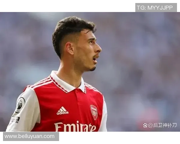 马丁内利：从青涩小将到足球场上的璀璨明星之路