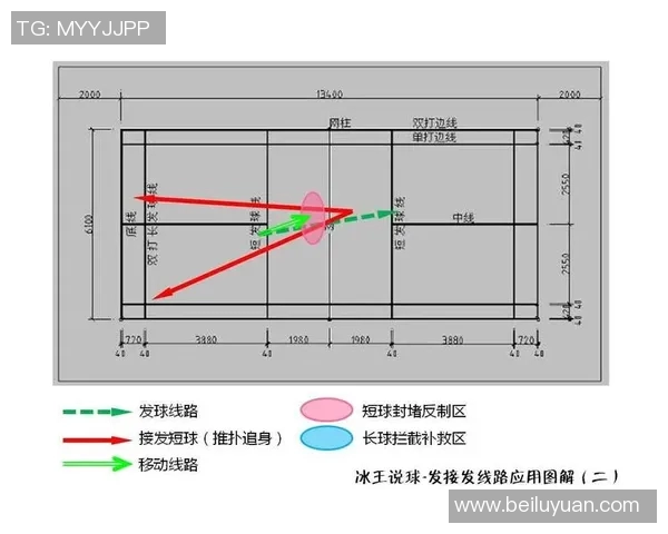 西安羽毛球队整体压制战术解析与实战应用探讨