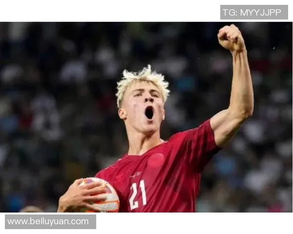 霍伊伦的传奇人生：从平凡到卓越的奋斗历程与启示